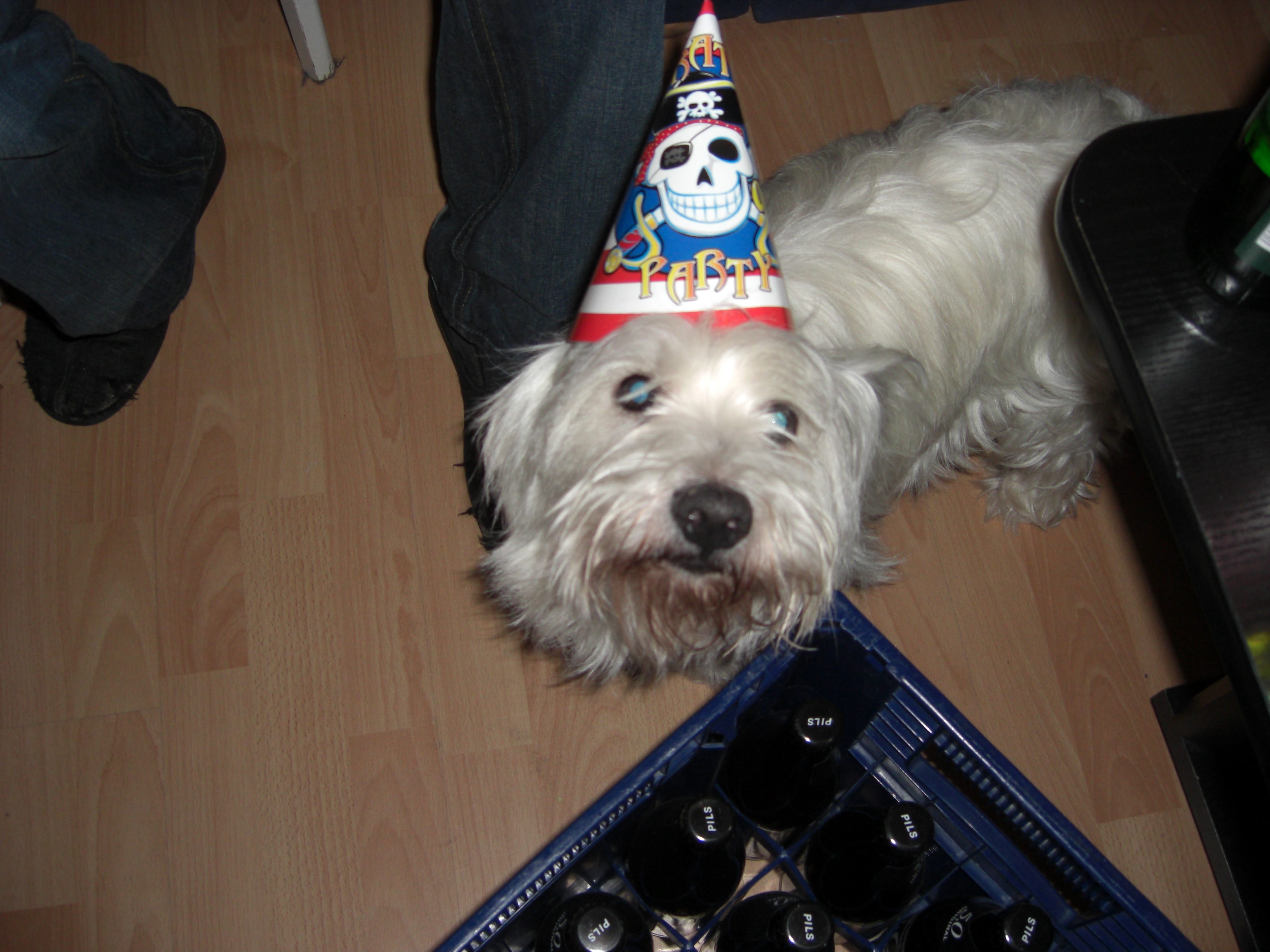 Party?